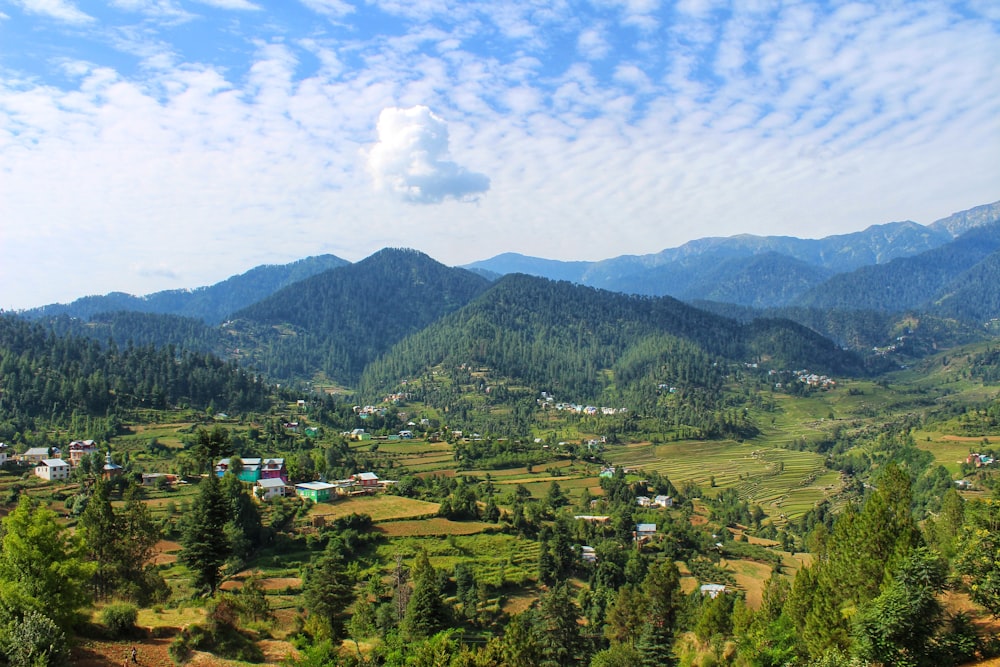 green trees and mountains under blue sky and white clouds during daytime