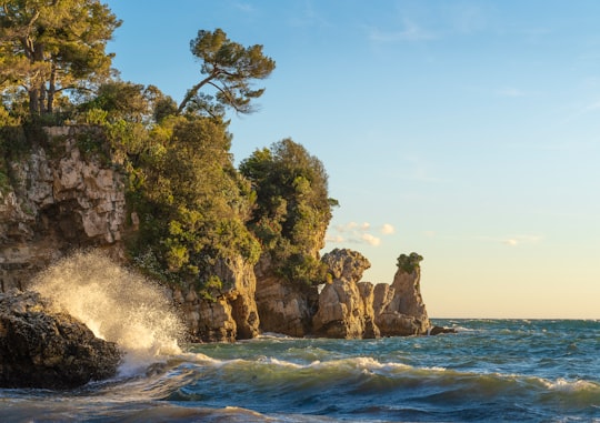 green trees on brown rock formation beside sea during daytime in Antibes France