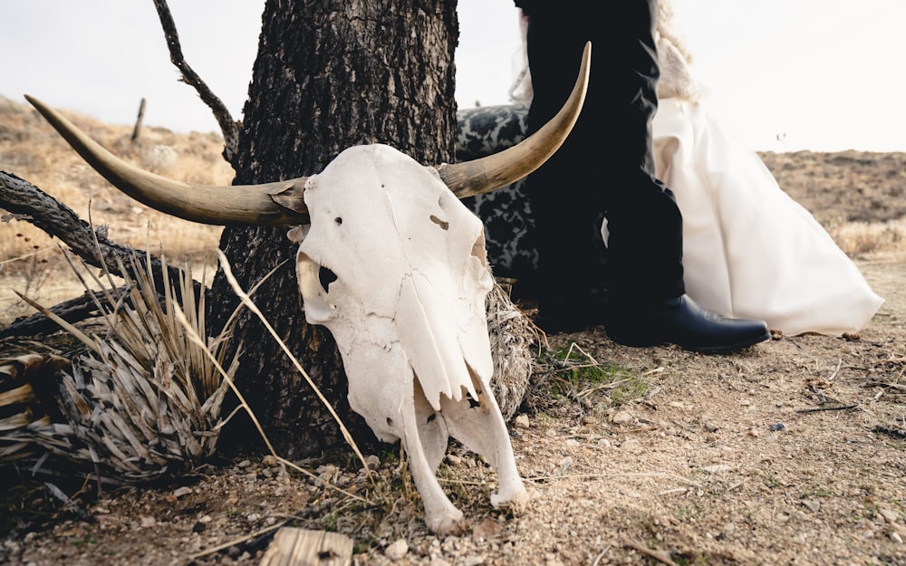 white cow statue beside brown tree