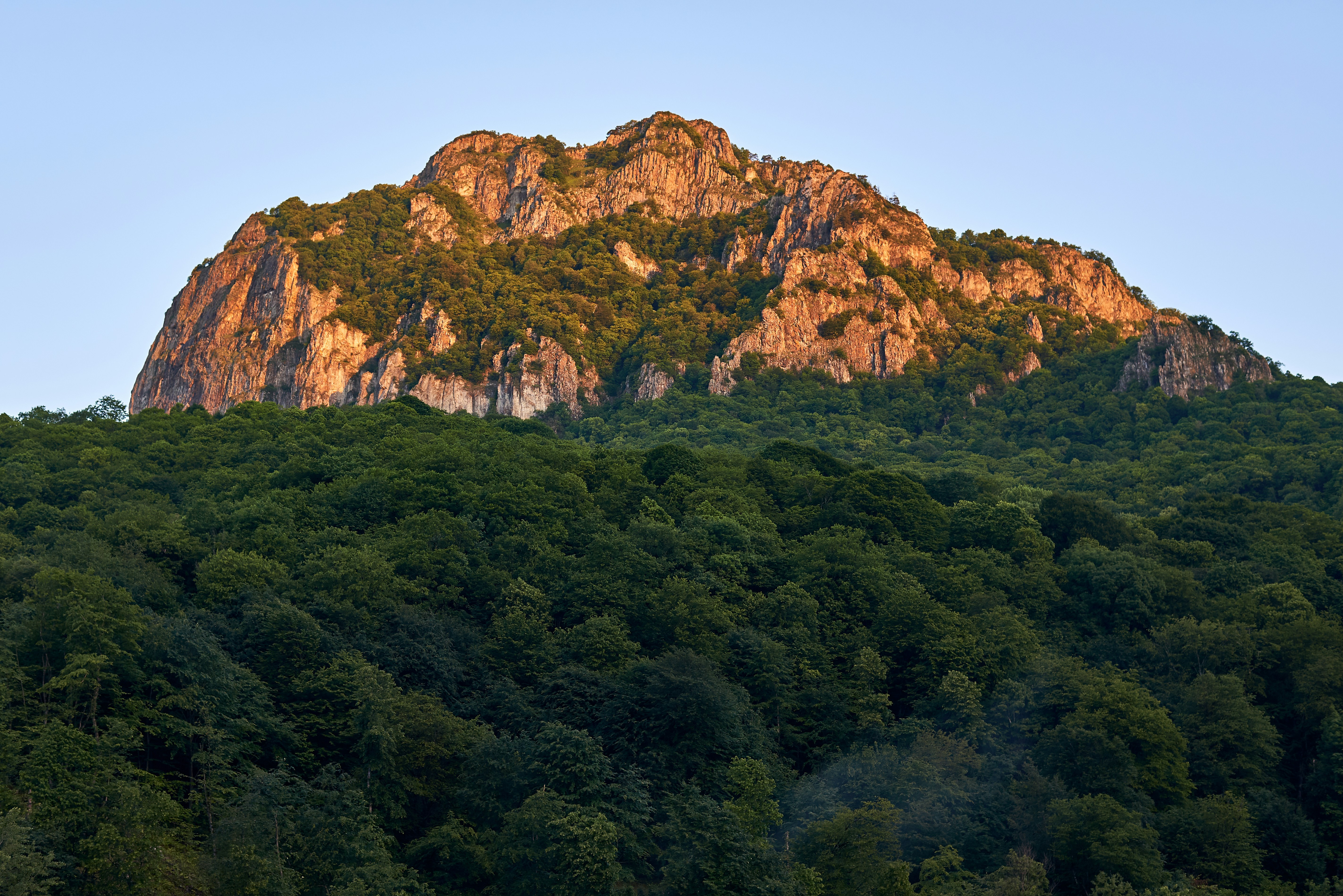 Green trees on brown mountain during daytime
