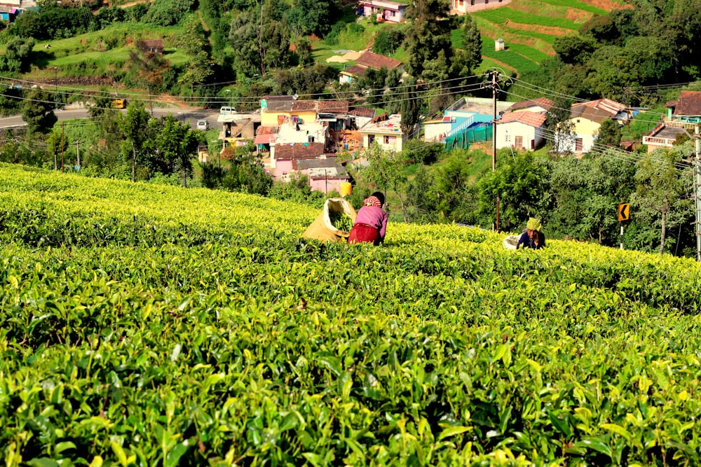 Mujer en vestido amarillo sentada en el campo de hierba verde durante el día