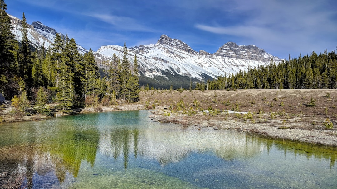 green trees near lake and snow covered mountain during daytime in Canadian Rockies Canada