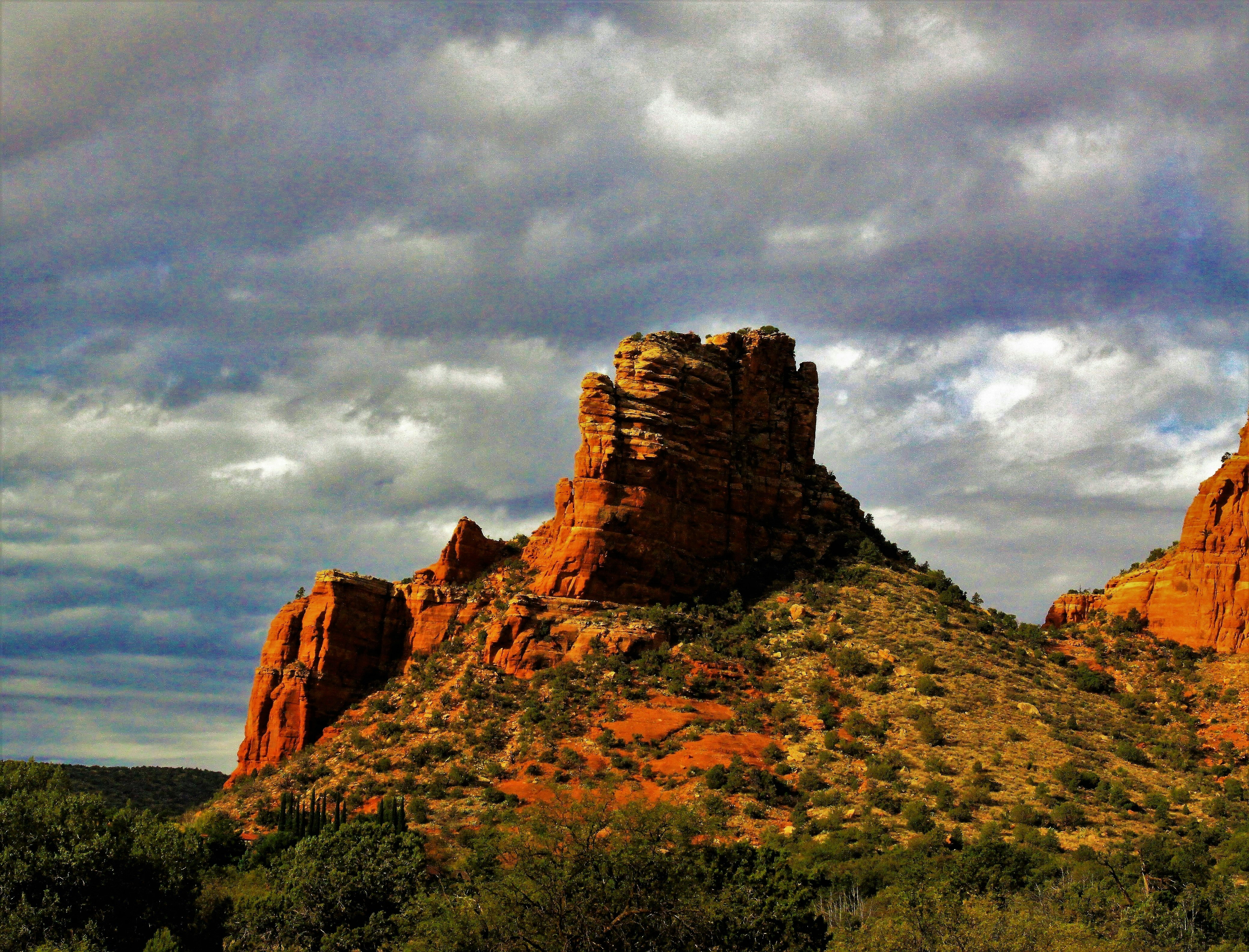 Photo by wildlifeman1939