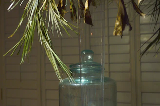 Sunlight filtering through leaves onto jars filled with various organic flours