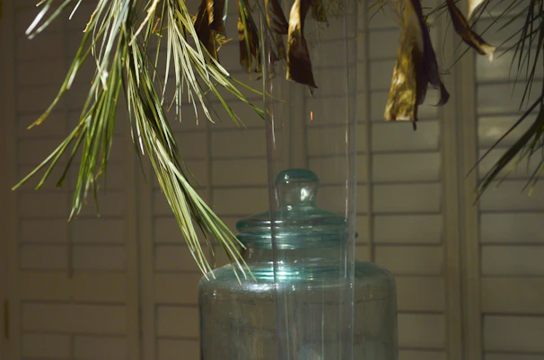 Sunlight filtering through leaves onto jars filled with various organic flours