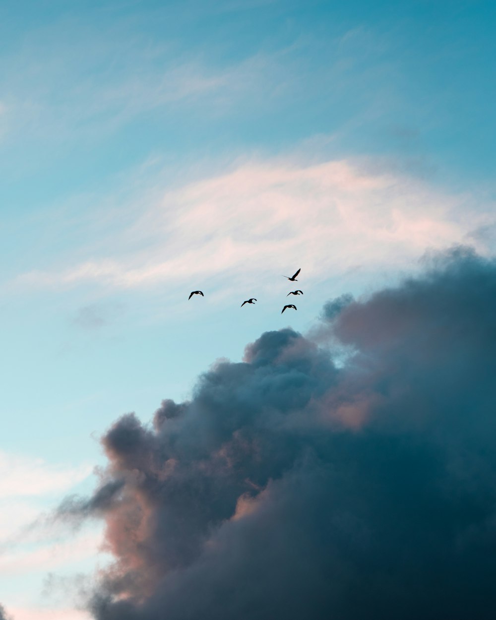 birds flying under white clouds during daytime