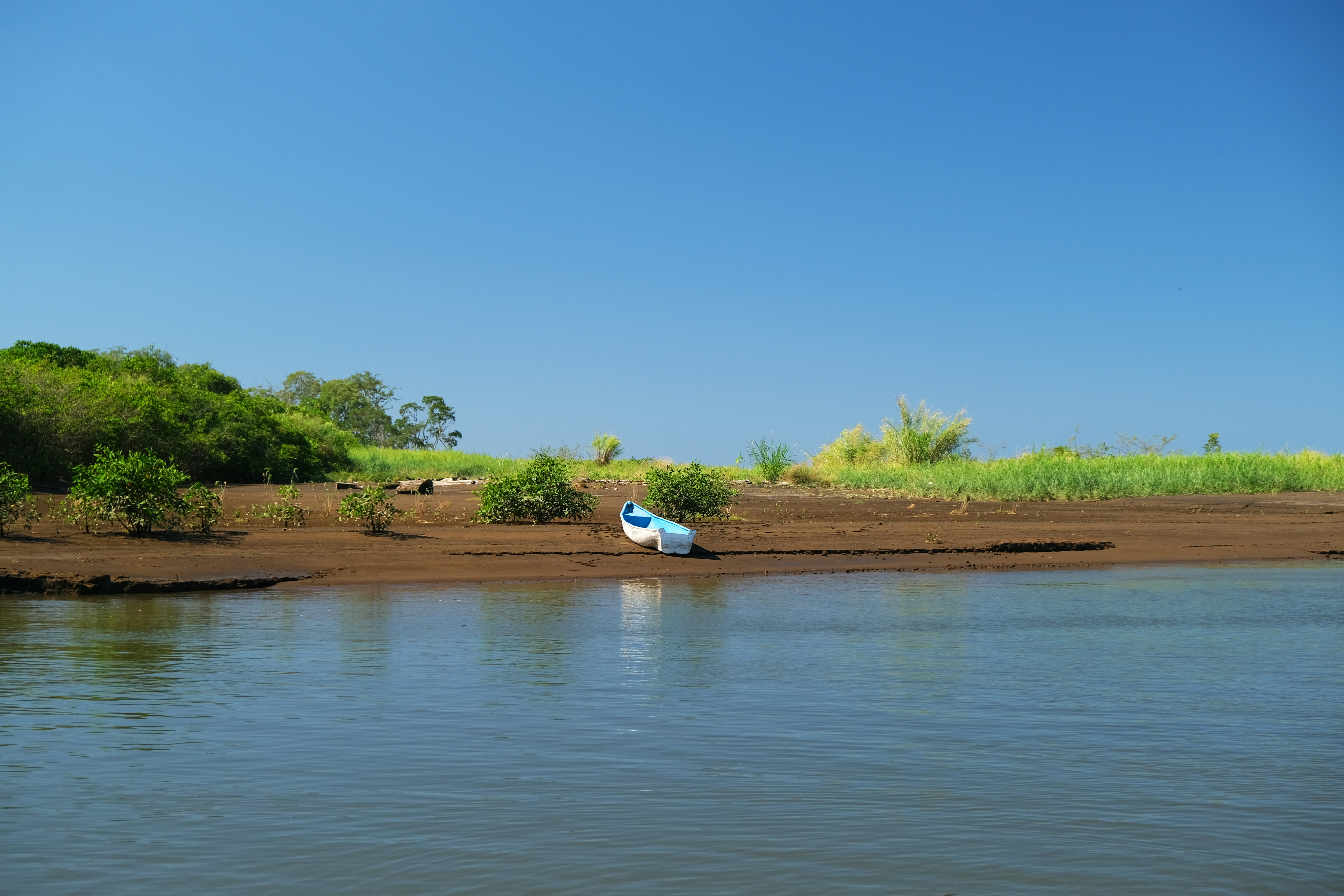 white swan on lake during daytime