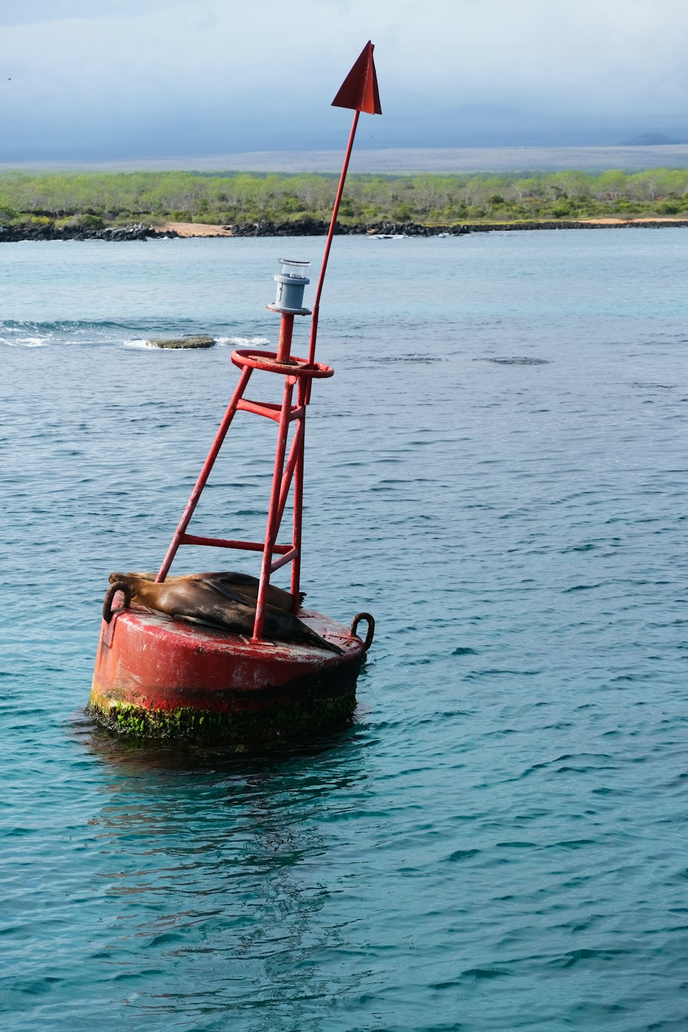 red and brown boat on body of water during daytime