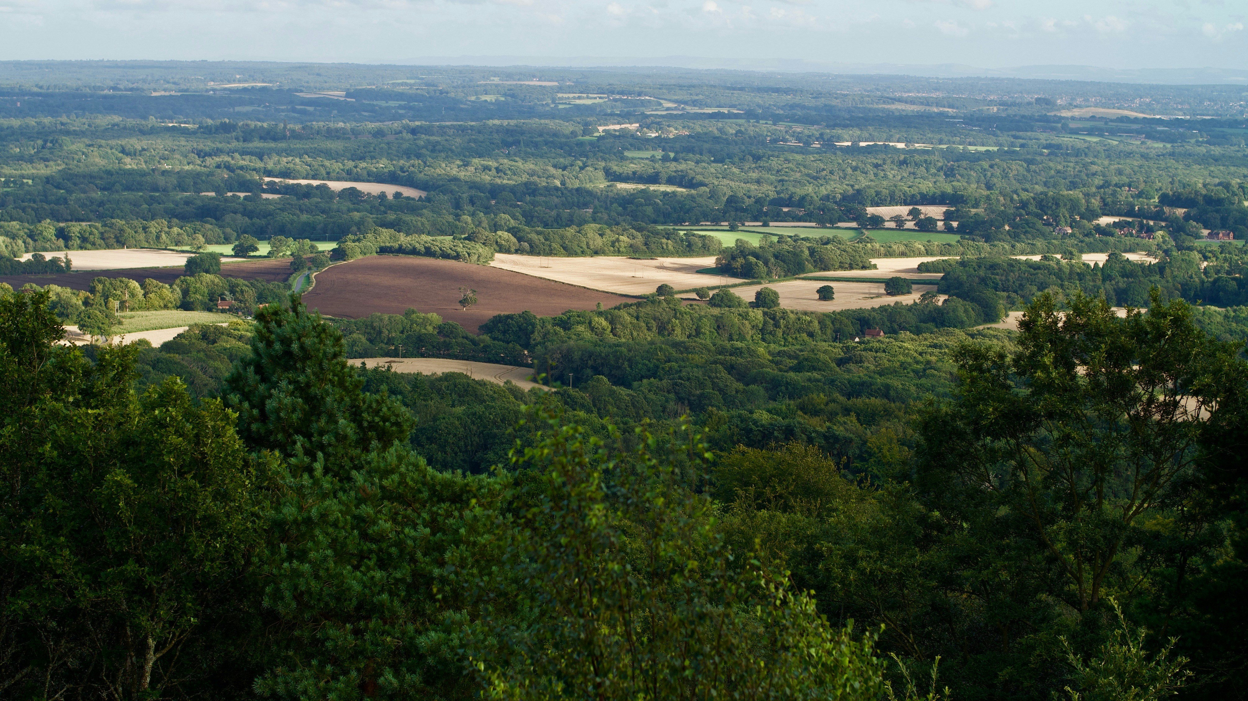 Photo by writtenmirror