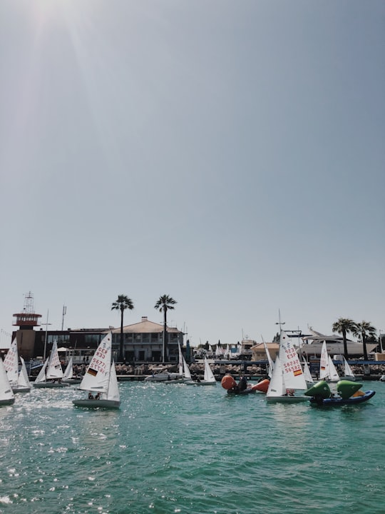 white and blue boats on sea during daytime in Faro Portugal