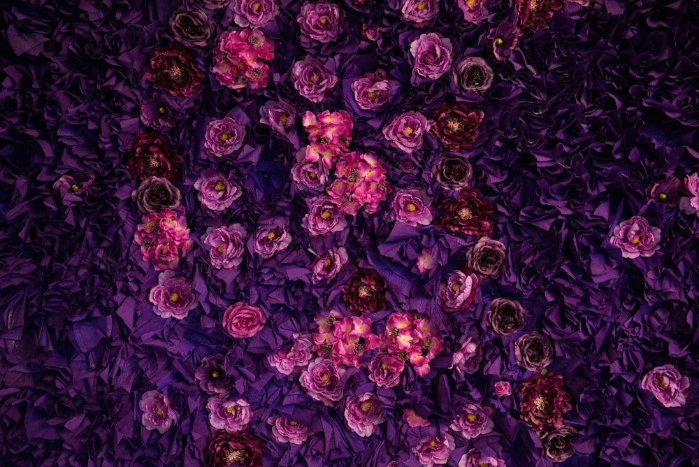 purple and black floral textile