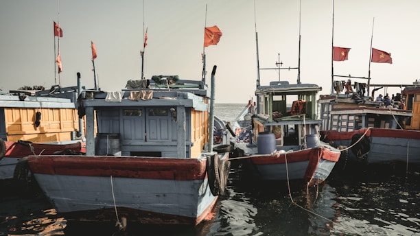 A group of colorful fishing boats are moored together in calm waters. The boats are adorned with red flags bearing a yellow star. Various fishing equipment and ropes are visible on the decks, and a few people are seen on some of the boats, engaged in activities. The atmosphere is serene with a soft sky in the background.