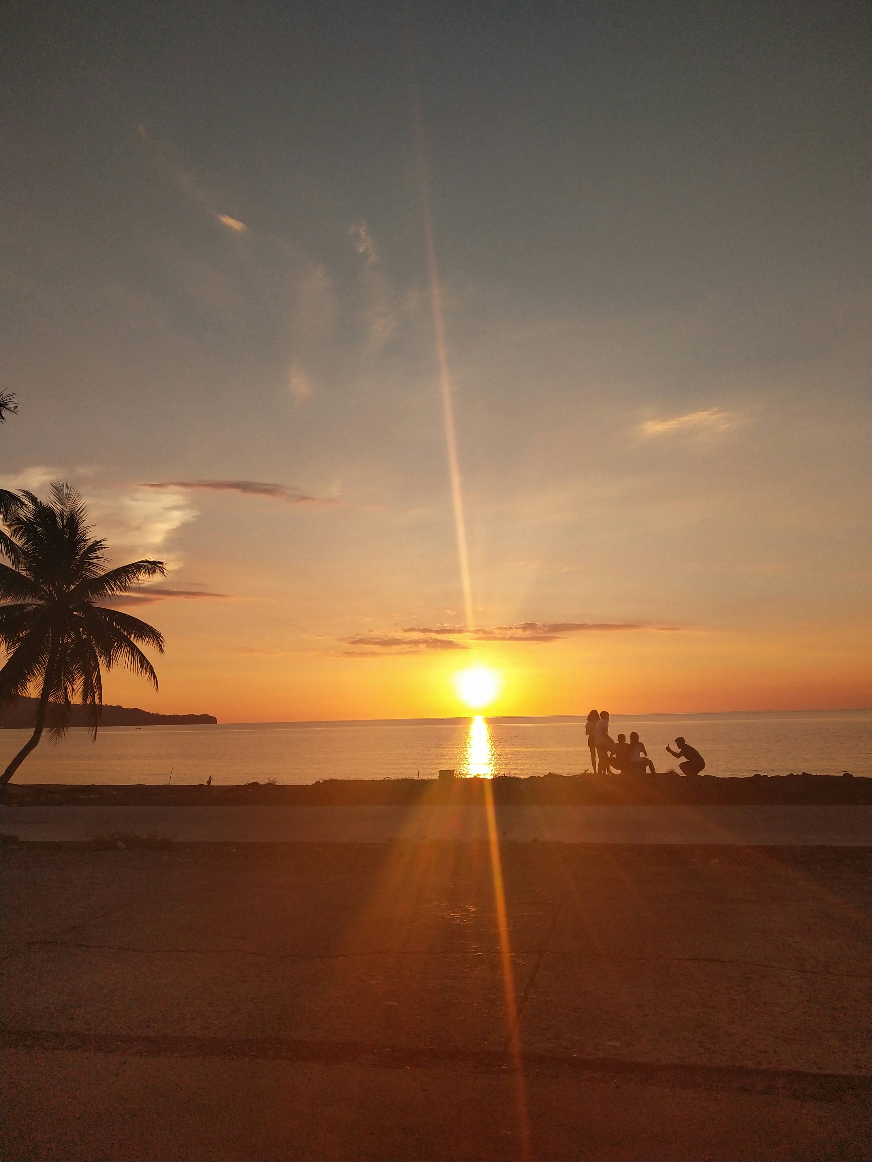 palm tree near body of water during sunset