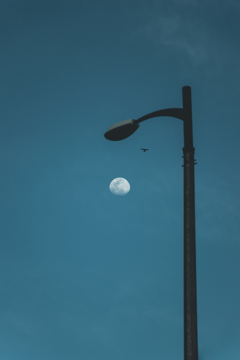 full moon over black street light