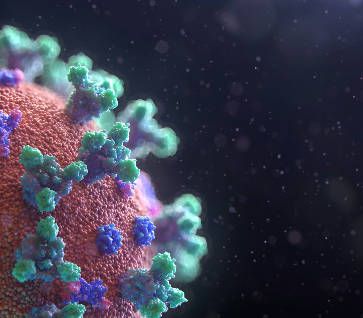 Visualization of the Coronavirus