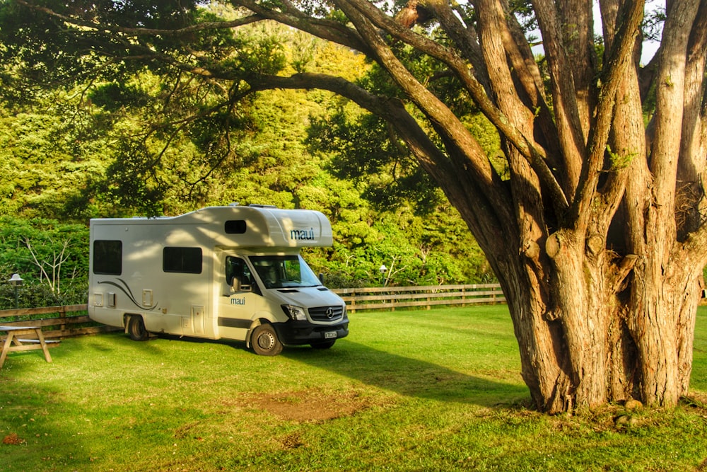 white and blue van parked on green grass field during daytime