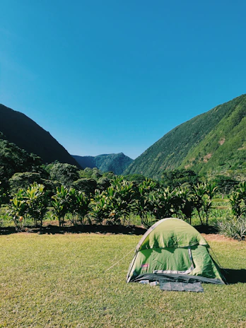 A peaceful tent spot surrounded by wildflowers and tall grasses under a clear blue sky.