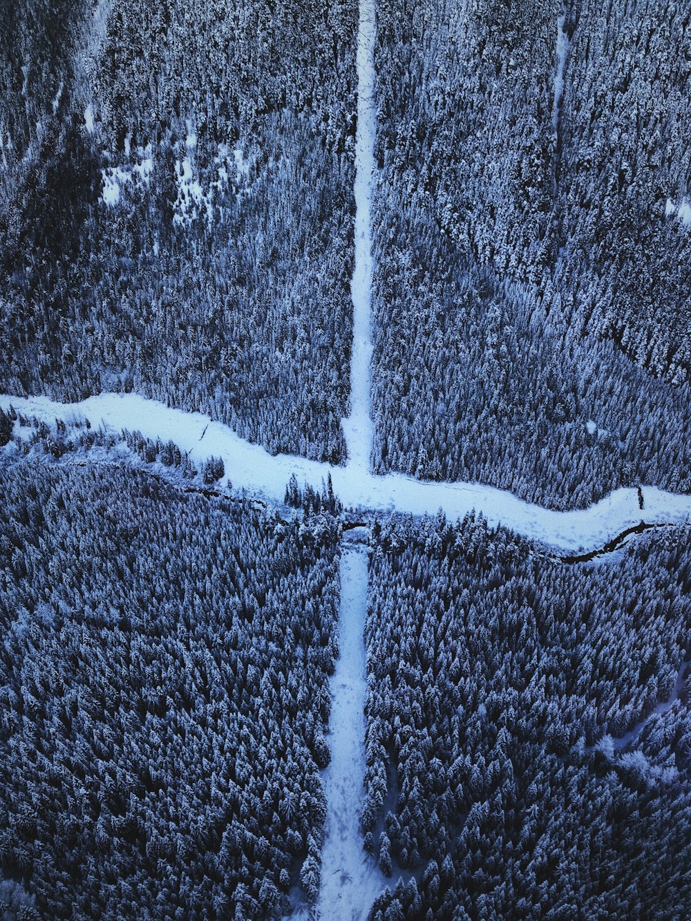 sol recouvert de neige blanche et brune