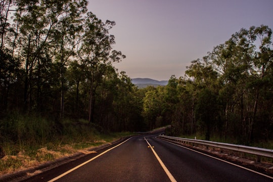 black asphalt road between green trees under gray sky during daytime in Clear Mountain QLD Australia