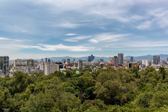 green trees near city buildings under blue sky during daytime in Bosque de Chapultepec Mexico
