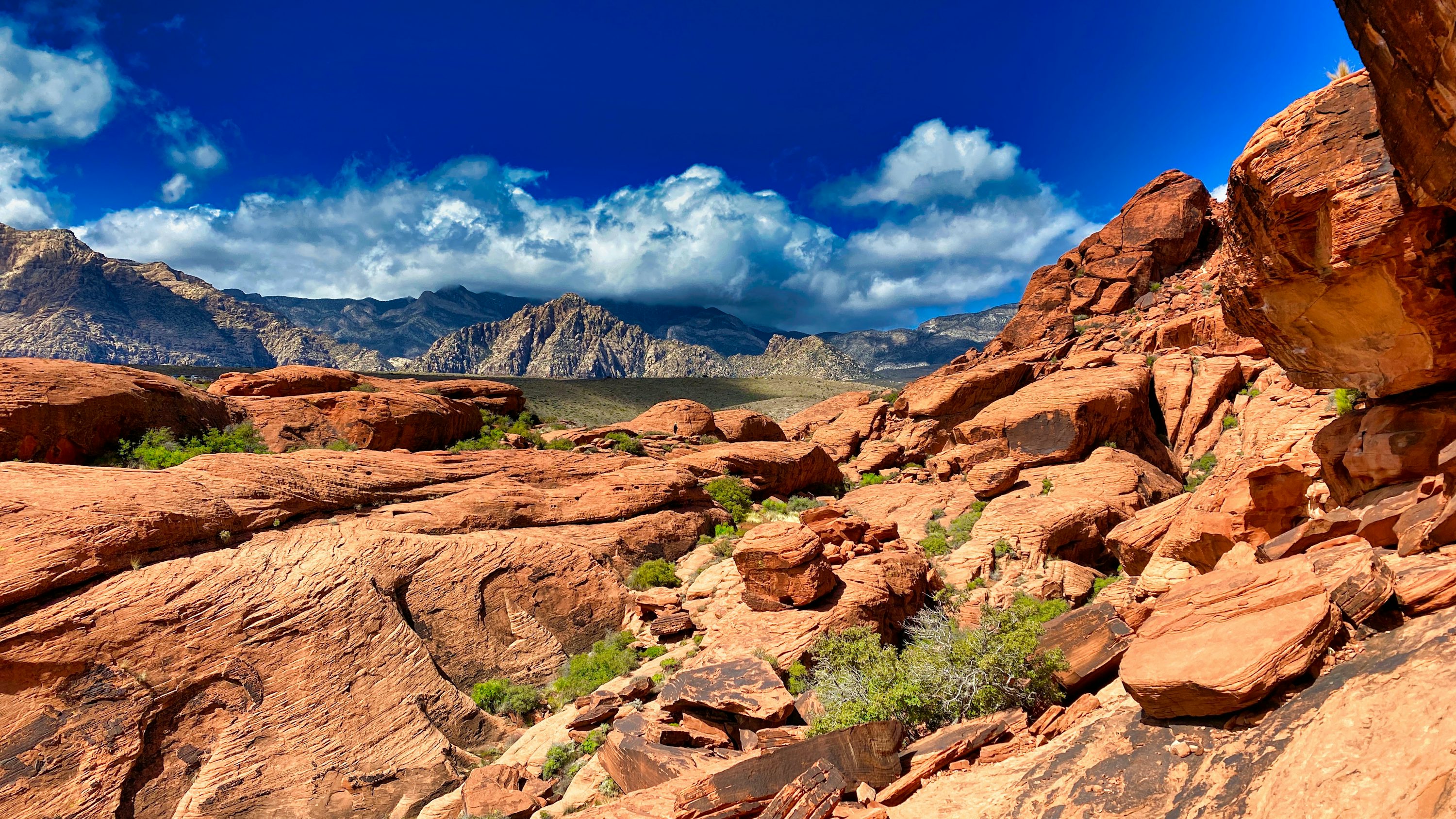 Red Rock Canyon Pictures | Download Free Images on Unsplash
