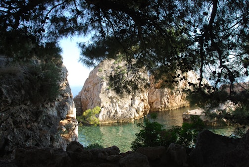 A quiet, crystal-clear cove surrounded by pine trees and rocky cliffs.