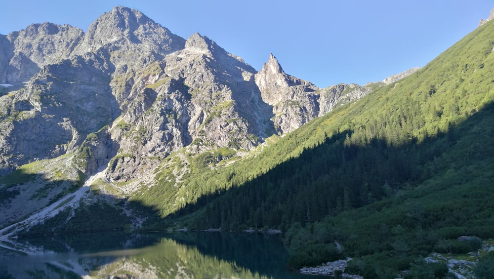 green trees on mountain during daytime