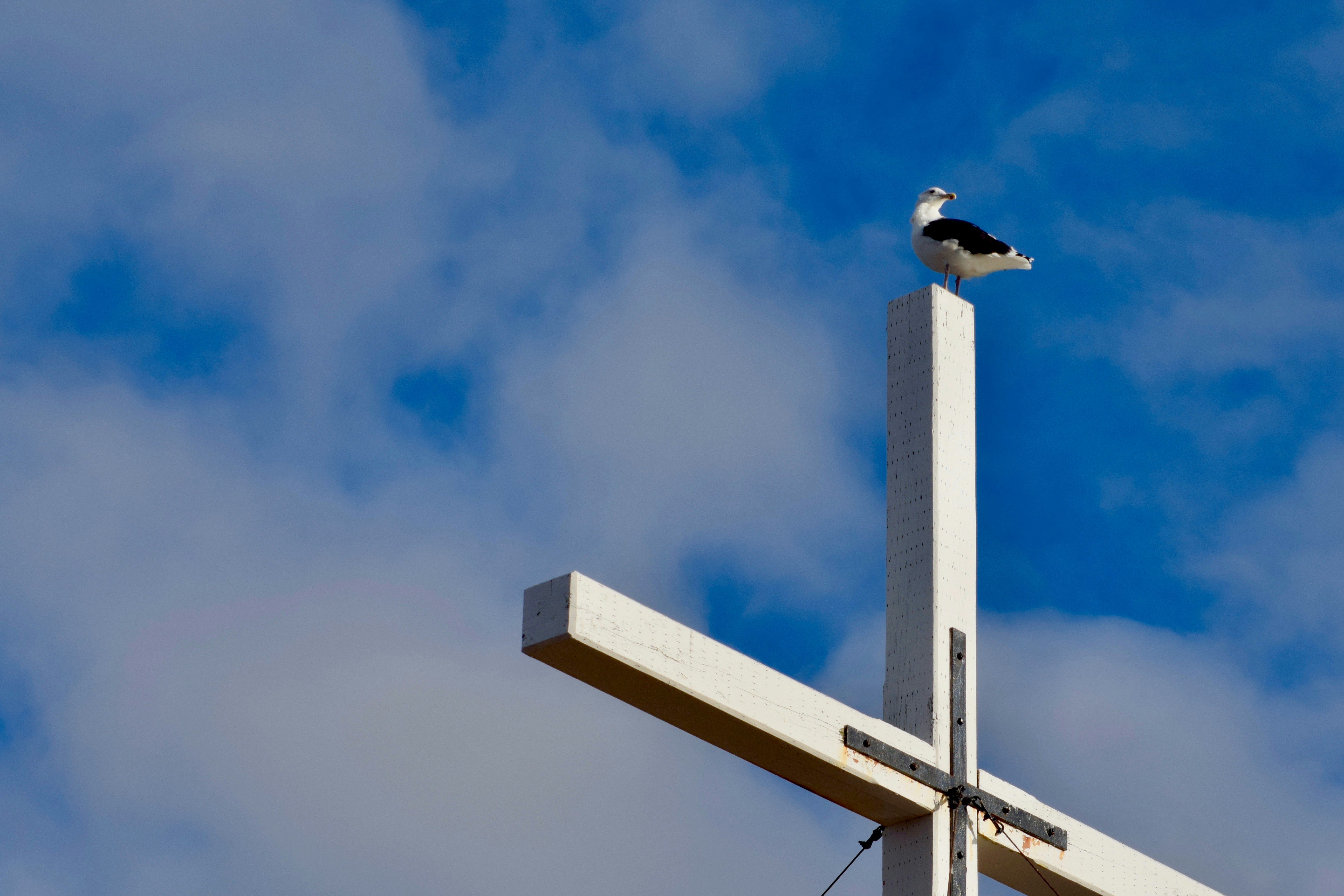 Photo by monsieur_dery