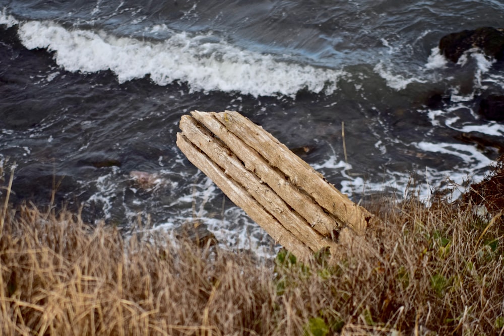 brown wooden log on seashore