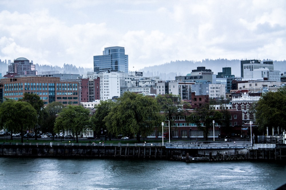 city skyline near body of water during daytime