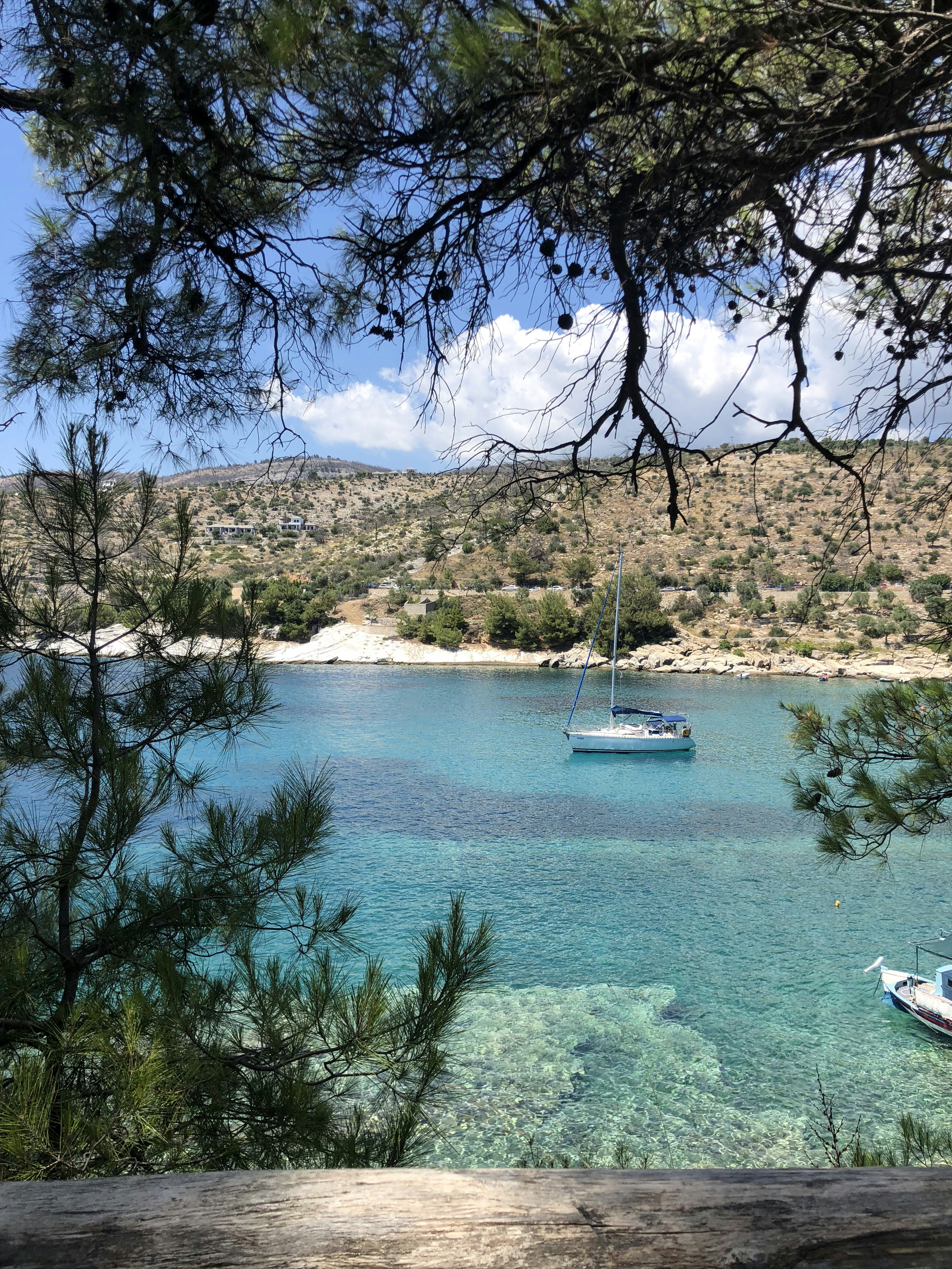 Photo by canselguven