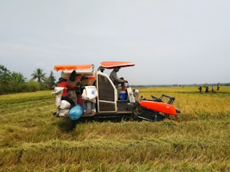 A rice field where a harvester is actively working. Several sacks of harvested grain are visible piled onto the machine. Workers are engaged in the process, with some standing nearby, likely overseeing the operation in the background. The scene is set in a rural landscape with open skies and distant trees lining the horizon.