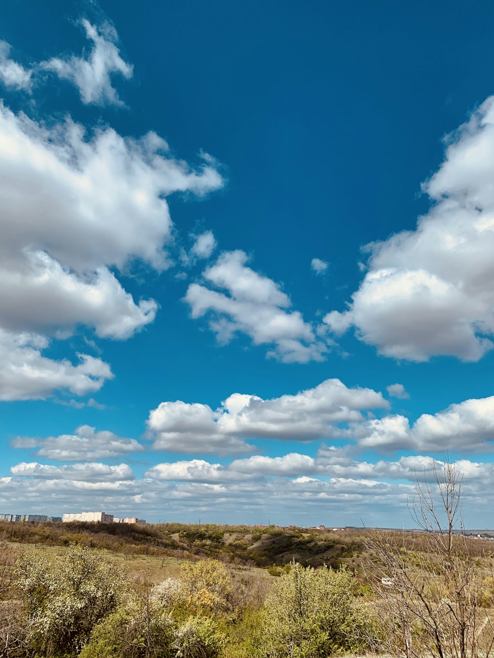 green grass field under blue sky and white clouds during daytime