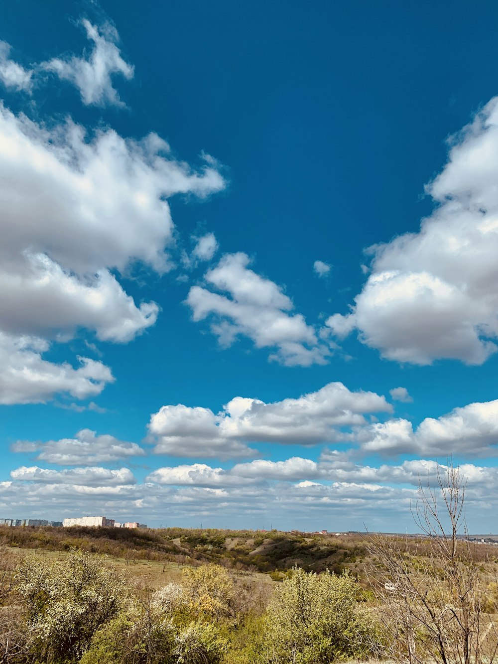 campo de hierba verde bajo el cielo azul y nubes blancas durante el día