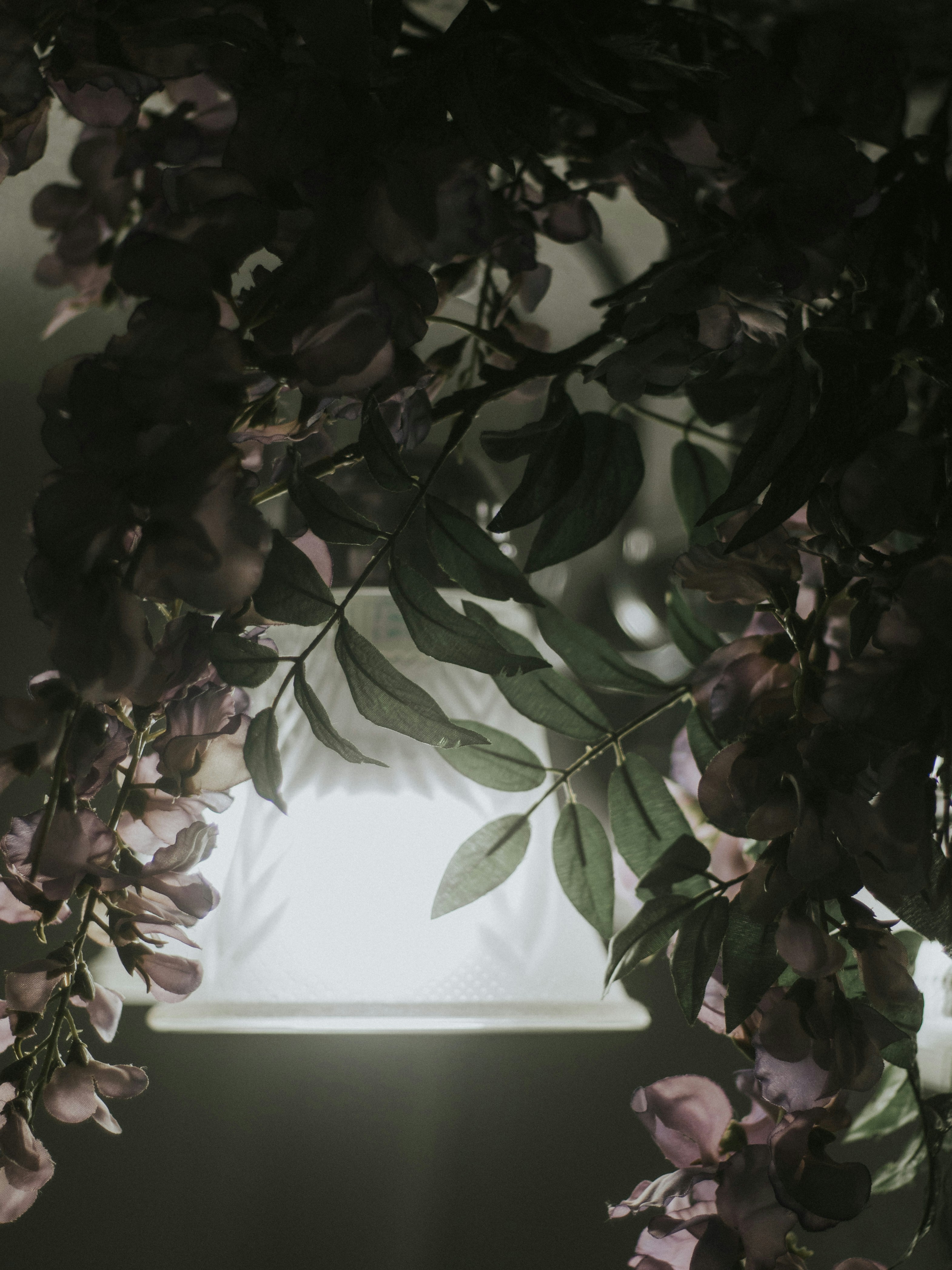 Photo by giobartlett