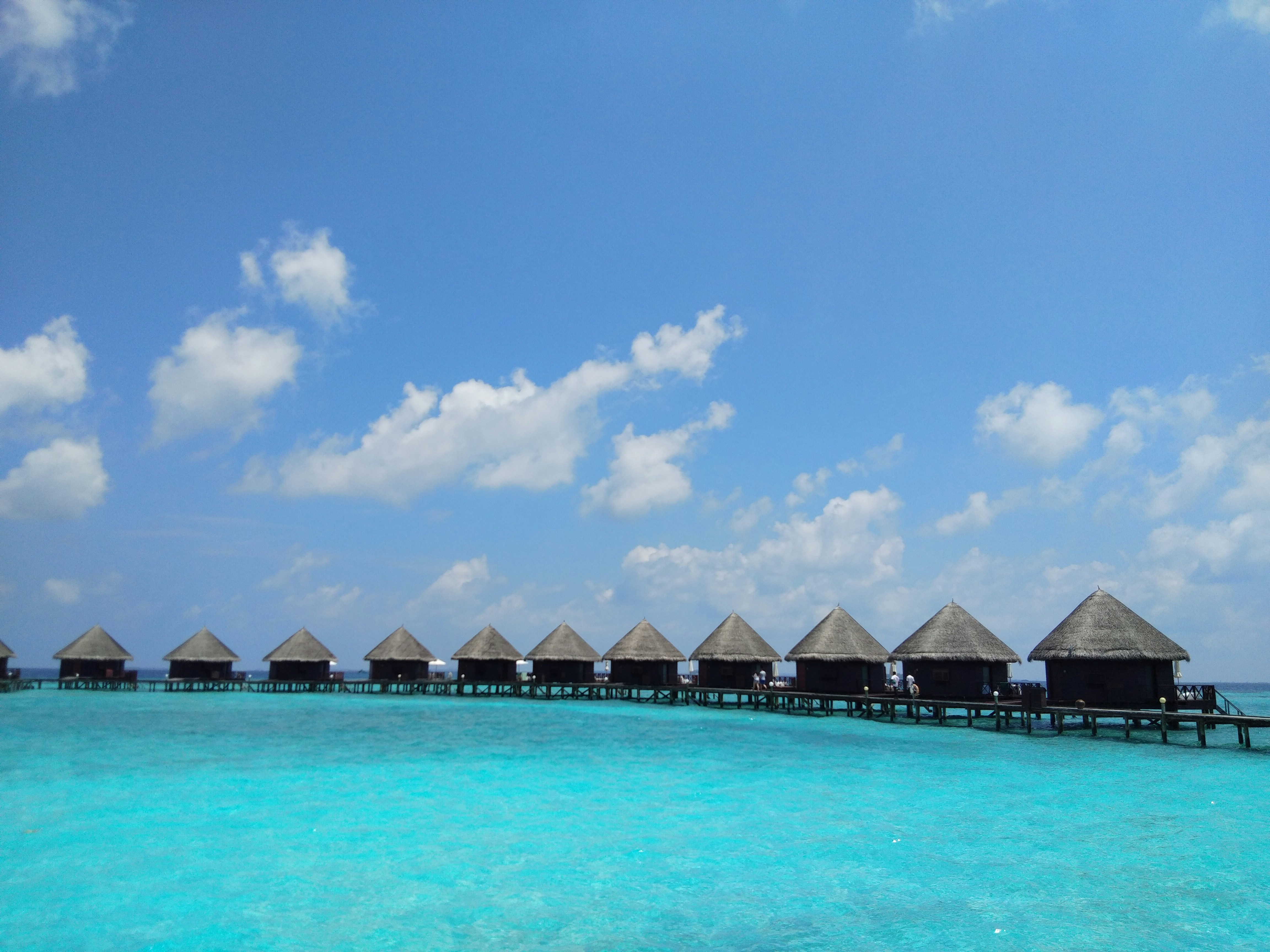 Photo by idonothingbutlove