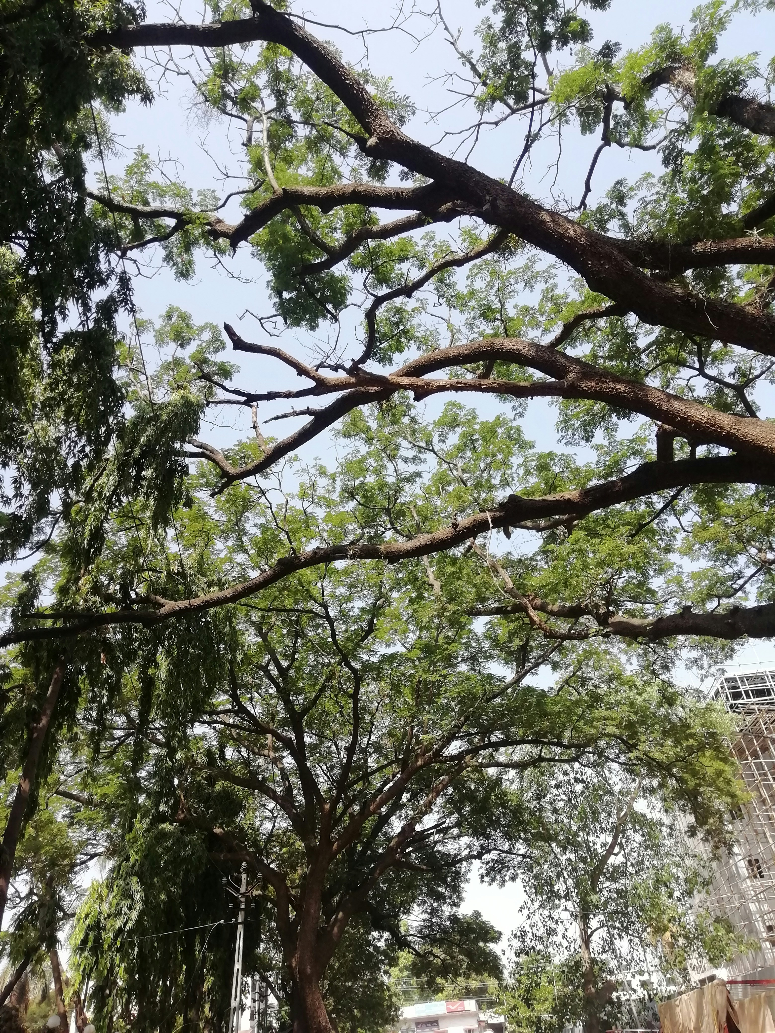 Photo by sunnykumargaya01