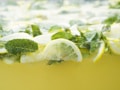 Slices of lemon and mint leaves are submerged in fizzy water, creating a refreshing and vibrant scene with bubbles forming around the mint and lemon.