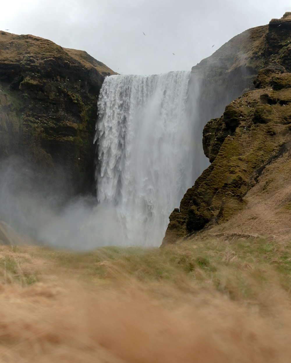 waterfalls on brown and green grass field during daytime