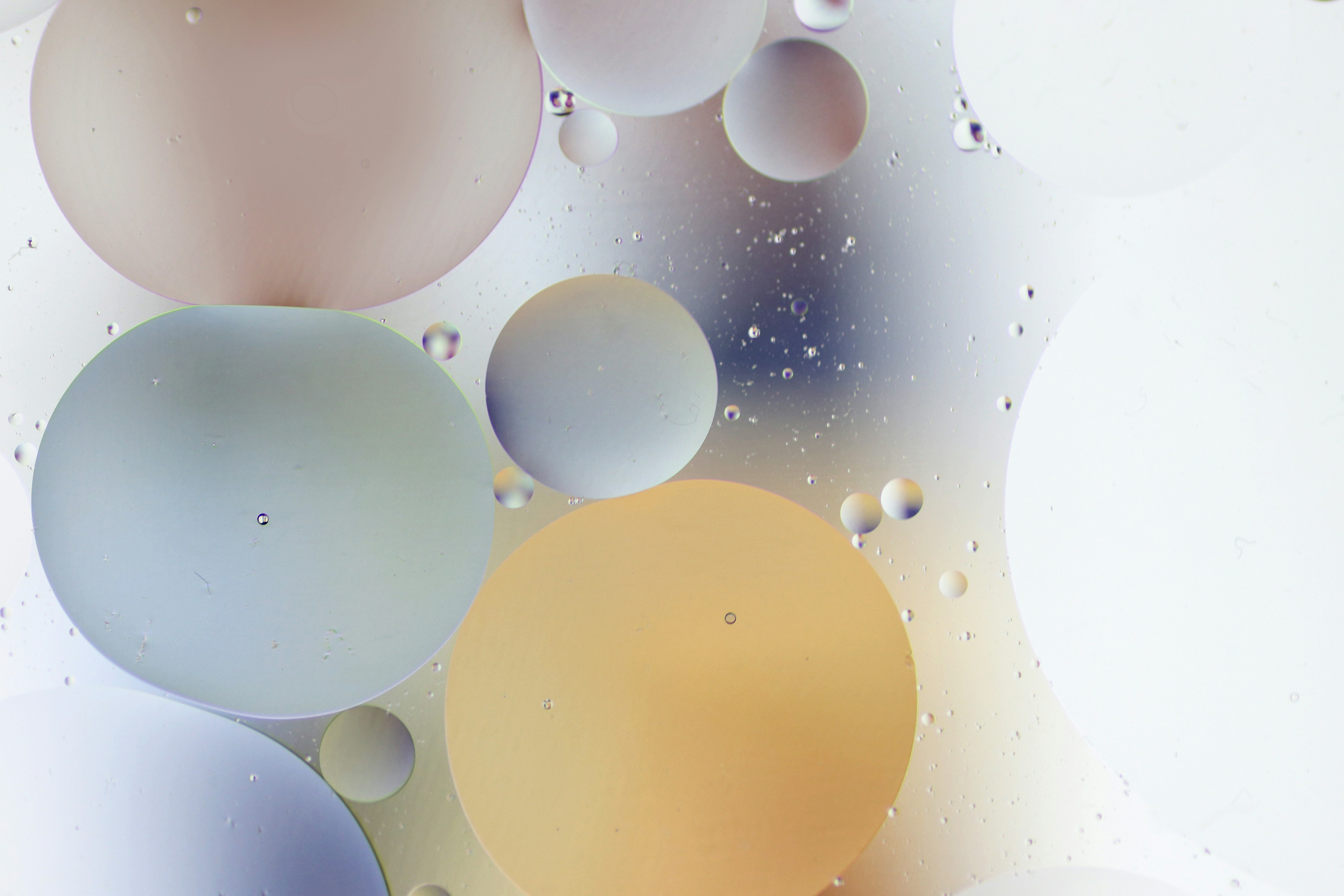 Photo by createwithdippyaman