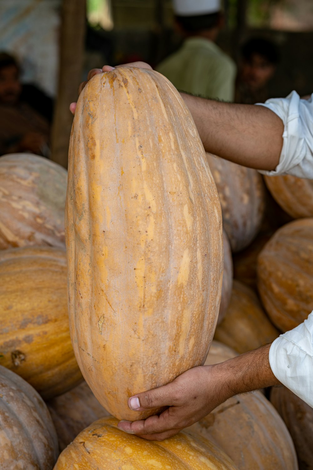 person in white long sleeve shirt holding brown round fruit