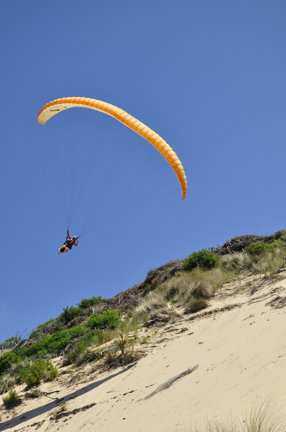 person in yellow parachute over green grass field during daytime