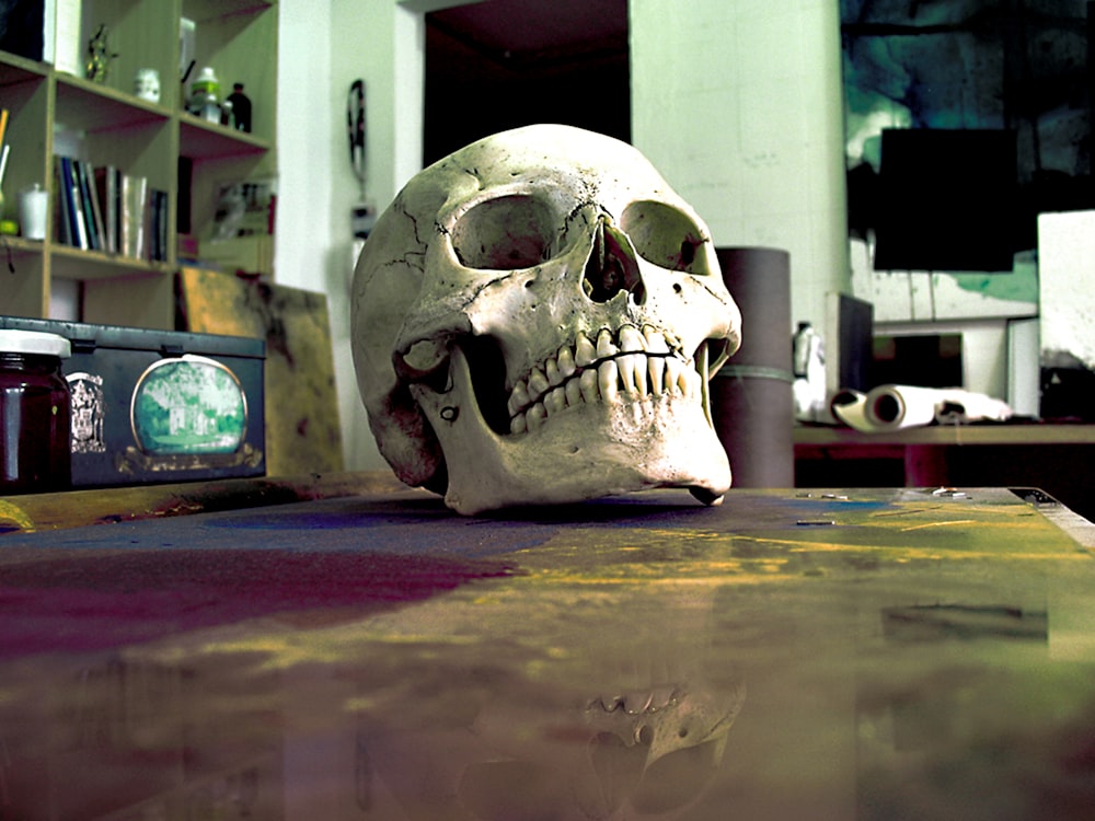 white skull on brown wooden table