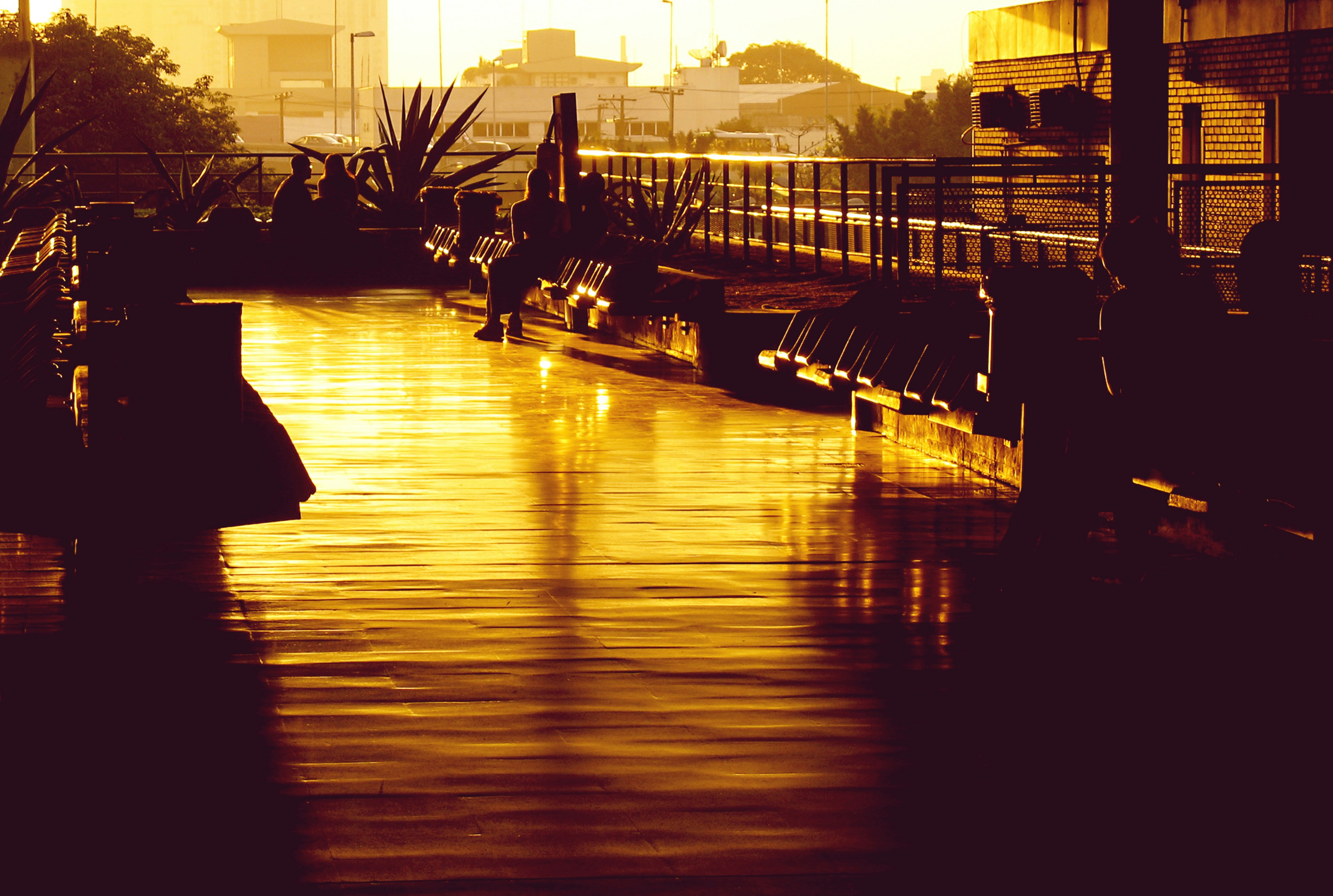 Photo by flavioconca