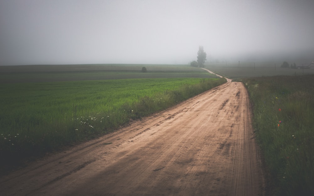 brown dirt road between green grass field under gray sky