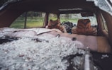 The interior of a car is shown with shattered glass scattered across the backseat and rear deck. Two car seats are covered with an orange and black patterned fabric resembling tiger stripes. The windows have been smashed, and through the windshield view, a grassy area with some trees is visible.