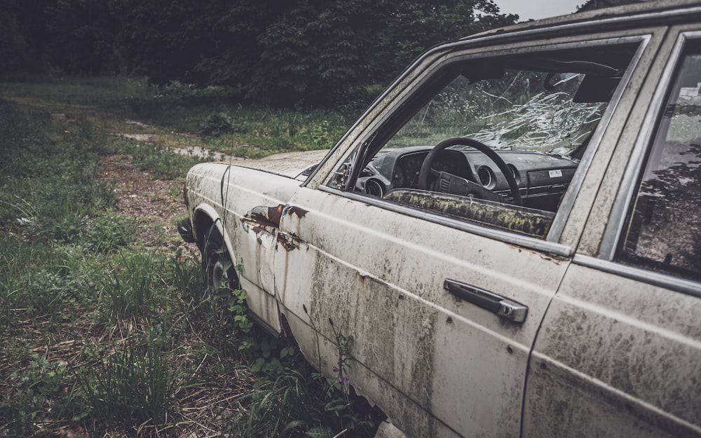 white car on green grass field during daytime