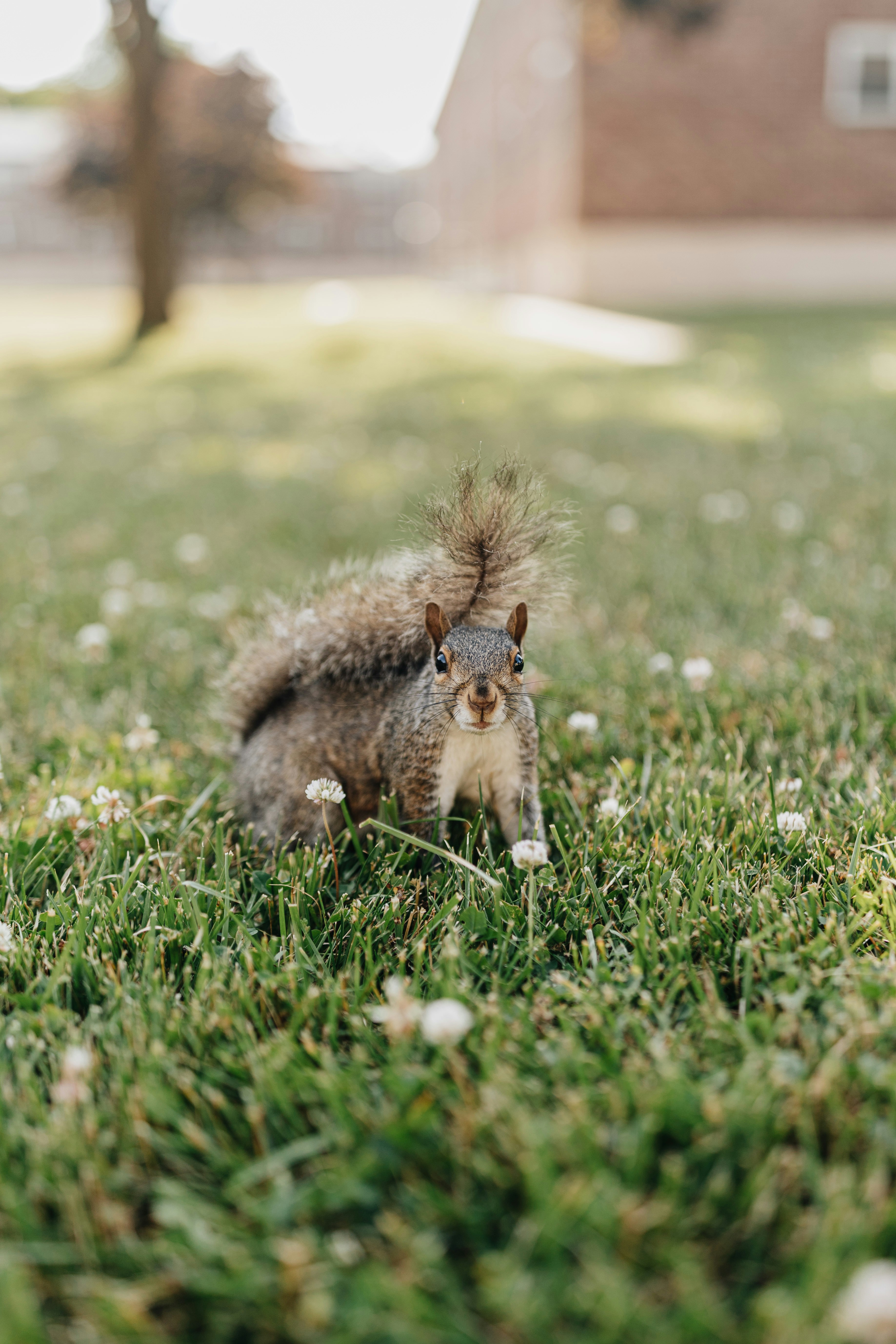 Photo by brittneyweng