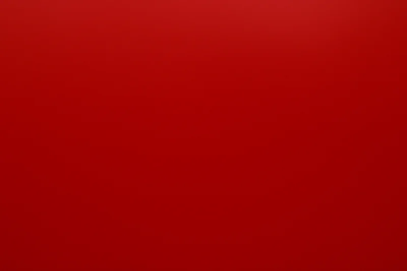 Class Council Petition Template