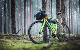 A vibrant shot of a bike parked on a trail surrounded by lush greenery on Rab island.